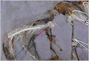 Peinture contemporaine par Marie-Claude Bohnenblust Lenglart Peintre Plasticien