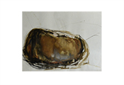 Peinture contemporaine par Marie-Claude Bohnenblust Lenglart Peintre Plasticien